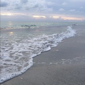 Meet your Posher, Allie